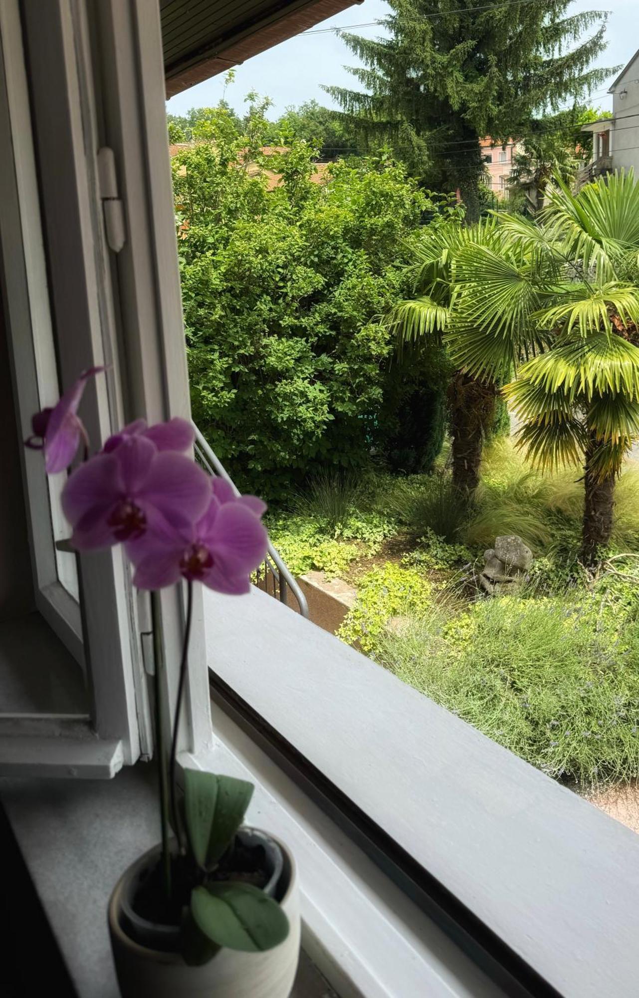 Zogar Apartment Matulji Dış mekan fotoğraf